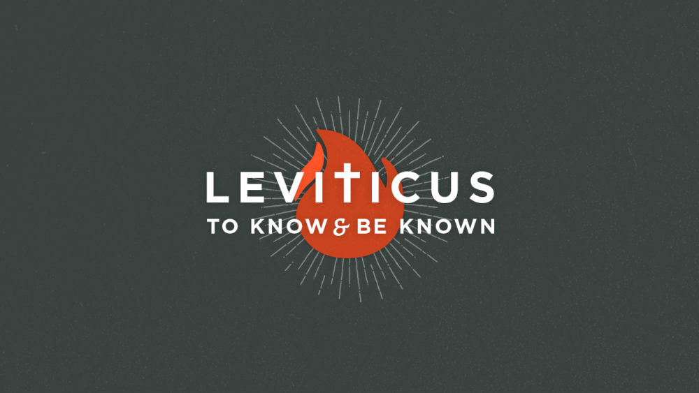 Leviticus Series